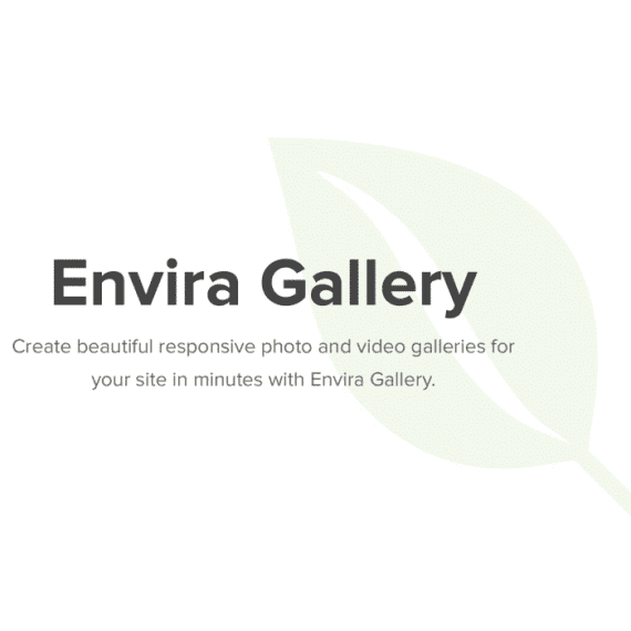 Nulled Envira Gallery Wordpress