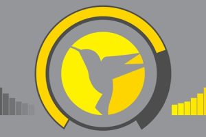 WPMU DEV Hummingbird Pro v.3.18.1 |WordPress网站速度优化分析插件下载