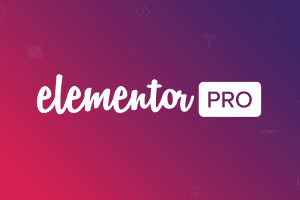 MemberPress – Elementor Content Protection 1.0.7 拓展插件下载