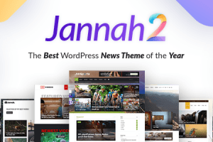 Jannah Newspaper v.7.6.5 -杂志新闻 BuddyPress AMP WordPress主题下载