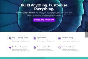 Divi v5.5.2 wordpress主题模板打包下载（Theme + Builder+ Extra Theme + Templates + Layouts + PSD）