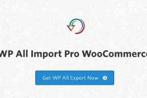 WP All Import Pro v5.0.6 + 5个附加组件[Soflyy] WordPress批量导入导出插件下载