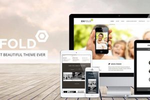 Enfold v.7.1.5 WordPress主题下载