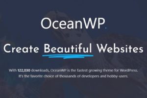 【精品】OceanWP Pro v4.1.4 (Ocean Extra v2.5.1 +所有拓展插件) 下载