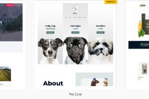 Astra Premium Starter Templates v4.6.0（Astra Premium Starter Templates） | Astra高级模板下载