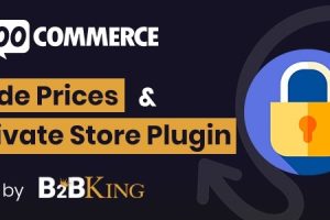 B2BKing v.1.2.2 | WooCommerce隐藏价格产品会员组权限插件下载