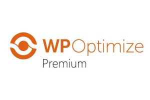 WP-Optimize Premium v4.5.3 网站图片压缩SEO缓存优化垃圾清理插件下载