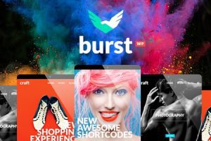 Burst v.3.7 – 大胆而充满活力的设计机构主题下载