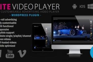 Elite Video Player v.11.0.1 – WordPress 视频播放器插件下载
