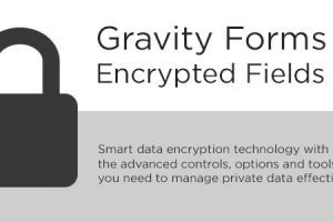 Gravity Forms Encrypted Fields v6.1.1 下载