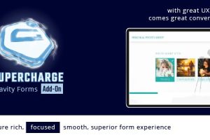 Gravity Forms Supercharge Add-On v1.3.5 | WordPress表格插件下载
