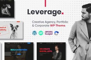 Leverage v2.3.0 – 创意代理与作品集 WordPress 主题下载