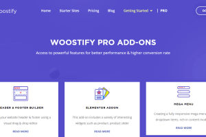 Woostify Pro Addon v1.9.1 + theme 2.3.2 轻量级woocommerce主题插件下载