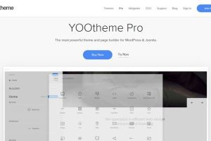YOOtheme Pro v5.0.35 & WidgetKit v3.1.37 插件破解版下载