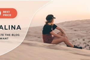 Malina v.2.4.0 – 个人WordPress博客主题下载