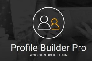 Profile Builder Pro v3.15.4 +addons – WordPress用户角色管理插件下载