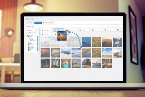 WP Media Folder v6.2.4 + Cloud addon v4.1.5 + Gallery addon v2.6.16 WordPress多媒体文件管理插件破解版下载