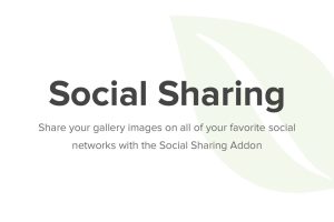 Envira Gallery Social Add-On v.1.6.6.1 | 图片分享插件下载