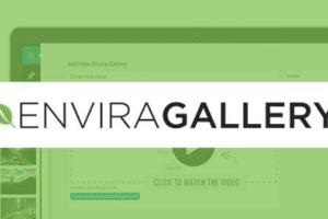 Envira Gallery: EXIF Addon v1.5.3 | WordPress画廊创建插件下载