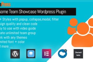 TeamPress v1.6.3 – 团队展示模块设计插件下载
