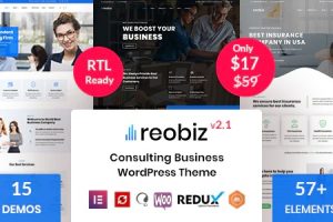 Reobiz GPL v7.0.2 – 咨询业务 WordPress 主题下载