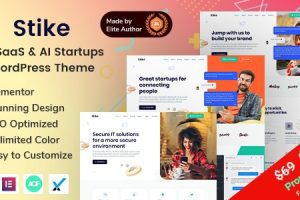 Stike GPL v.2.8 – IT初创公司WordPress 主题下载