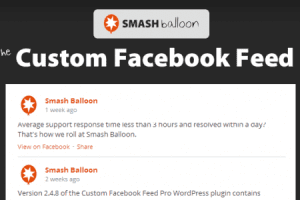Custom Facebook Feed Pro v4.8.1 内容自动同步插件下载