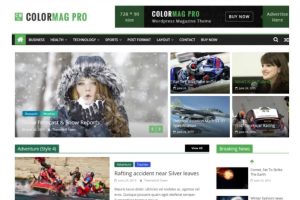 ColorMag Pro GPL v5.2.2 – 杂志和新闻风格的 WordPress 主题下载