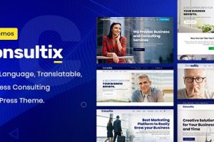Consultix v.4.0.0 – 商务咨询WordPress主题下载