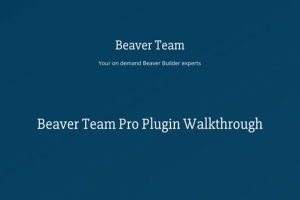 Beaver Team Pro for Beaver Builder Pro v.1.2.13下载