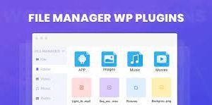 Wp File Manager Pro v.8.4.3 – 用于 WordPress文件管理器插件下载