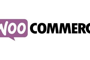 Donation For WooCommerce v.3.9.9 网站创建捐赠活动插件