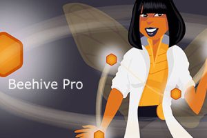 Beehive Pro v3.5.2 –wordpress网站数据分析和 Google Analytics 报告插件下载