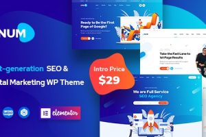 Onum v1.2.16.18 – SEO 和营销 Elementor WordPress 主题下载