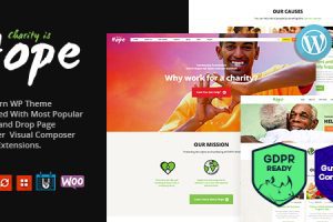 Hope v2.2.4 | 非营利、慈善和捐赠 WordPress 主题 + RTL 下载