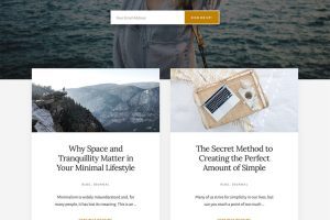 StudioPress Essence Pro v1.5.1 美观简约健康保健WordPress 主题下载