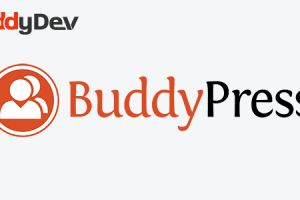 BuddyBlog Pro v.1.5.4 插件下载