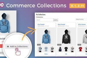 Docket v.1.6.6 – WooCommerce 心愿单收集插件下载