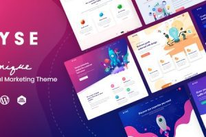 Ryse v4.0 – SEO 和数字营销 WordPress 主题下载