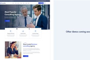 Consultar v1.0.6 – 咨询业务 WordPress 主题下载