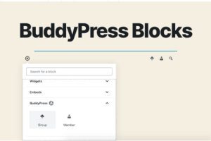 BuddyPress Block Users v.1.2.3 BuddyPress 屏蔽用户插件下载