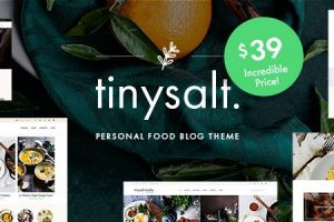 Tinysalt v3.0.0 个人美食博客WordPress主题下载
