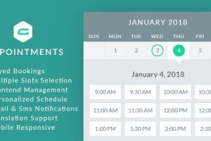 gAppointments v1.10.0 – Gravity Forms 的预约插件下载