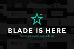 Blade v.3.6.7 – 响应式多功能WordPress主题下载