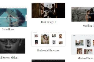 Snapster – Photography WordPress v.1.1.1 摄影WordPress主题下载