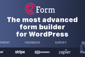 eForm v.4.19.0 – 创建 WordPress 表单 + 插件下载
