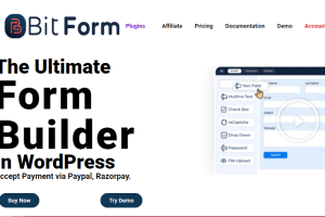 Bit Form Pro v3.0.1 表格表单创建插件下载