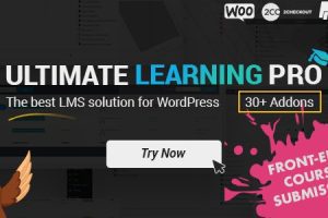 Ultimate Learning Pro Nulled v3.9.3 网课学习管理插件下载