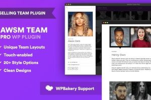 The Team Pro v1.11.5 – 团队展示 WordPress 插件下载