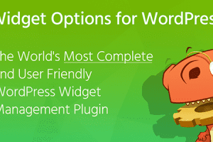 Extended Widget Options v5.3.4 GPL 小部件小工具控制插件下载